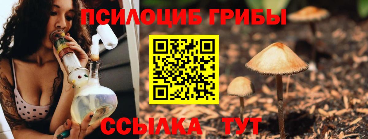 Лиски  Псилоцибиновые грибы мицелий  Галлюциногенные грибы Psilocybine cubensis  Вход с VPN 